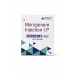 MeroFort 1.GM